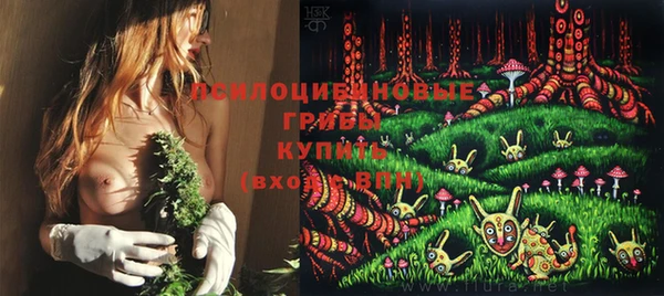 гидропоника Богородицк