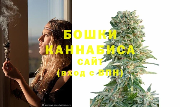 гидра Беломорск